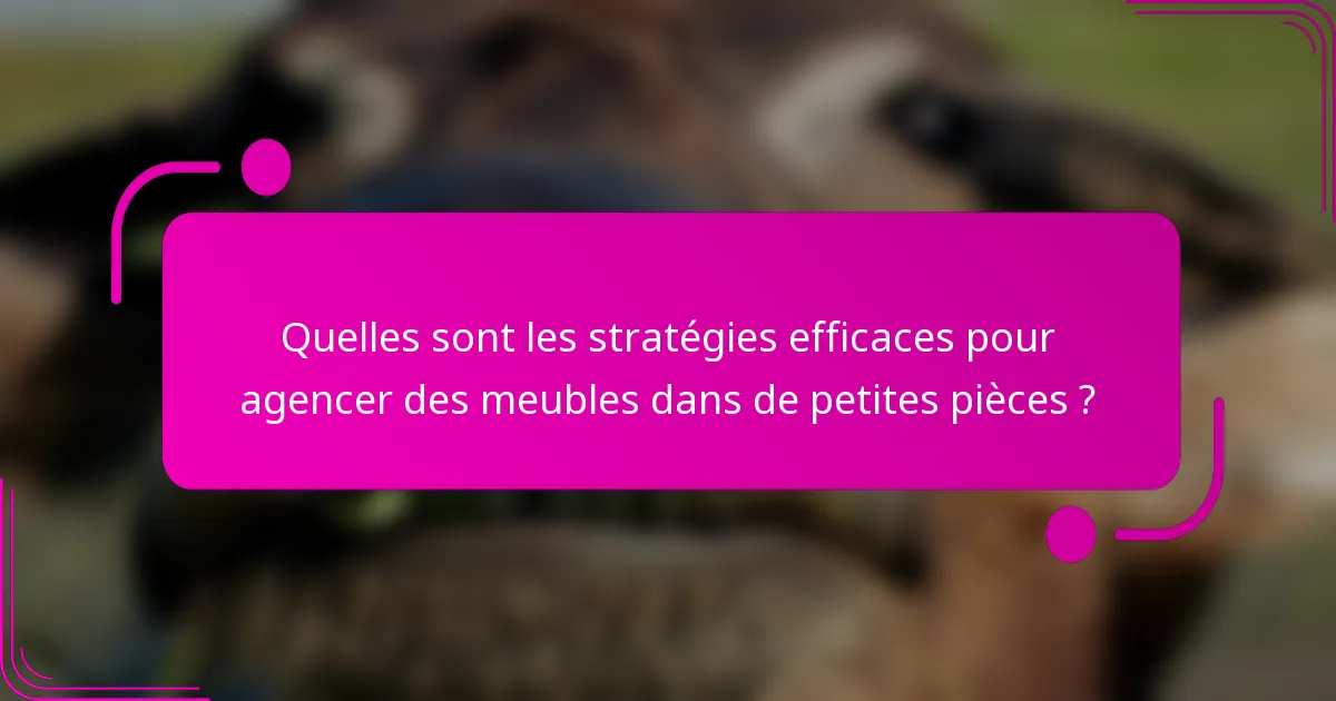 Quelles sont les stratégies efficaces pour agencer des meubles dans de petites pièces ?